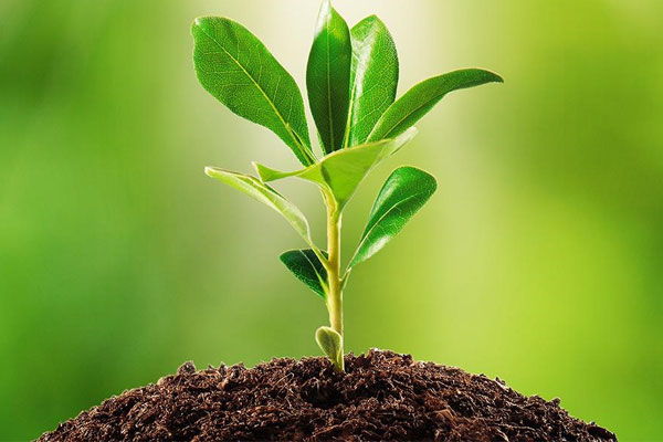 کافه پرستیژ